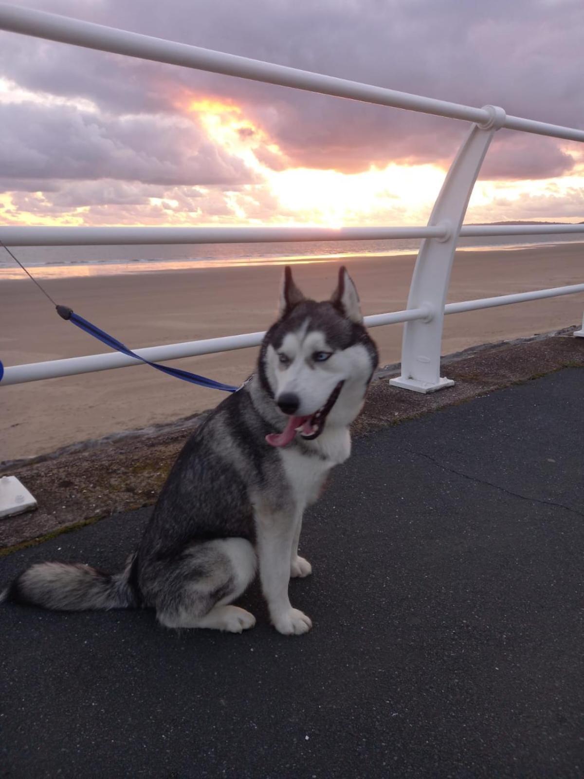 Driftmark Beachfront Location Aberavon Beach Sea Views Large Driveway Parking Private Site Fibre Optic Wi Fi Port Talbot Bagian luar foto